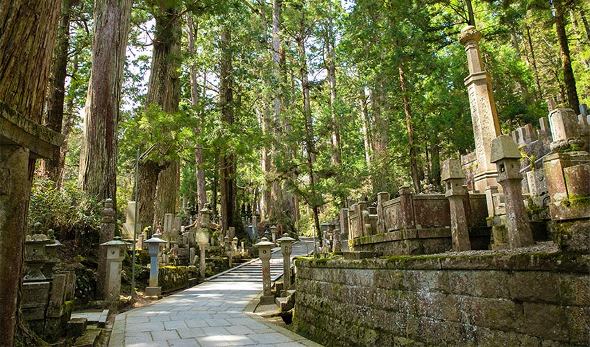 高野山 